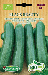 Zucchini BLACK BEAUTY, ECBIO4018
