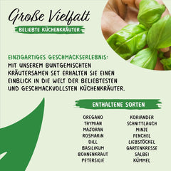 Prademir – Kräutersamen Set aus 16 beliebten Küchenkräutern – Kräuter Anzuchtset mit 100% Natursamen aus Portugal – Kräuter Saatgut aus Oregano, Thymian, Majoran, Rosmarin, Dill, Basilikum, Salbei uvm