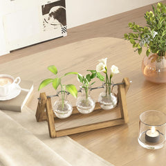 Stație de propagare hidroponică Bamworld cu suport din lemn – 3 vaze din sticlă pentru creșterea plantelor acvatice și decorarea casei