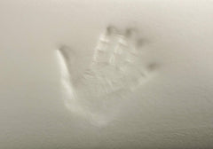 Todocama Todolit viscoelastic aloe vera plus pernă, verde, 2 bucăți, 75 cm Perne standard Naty Shop