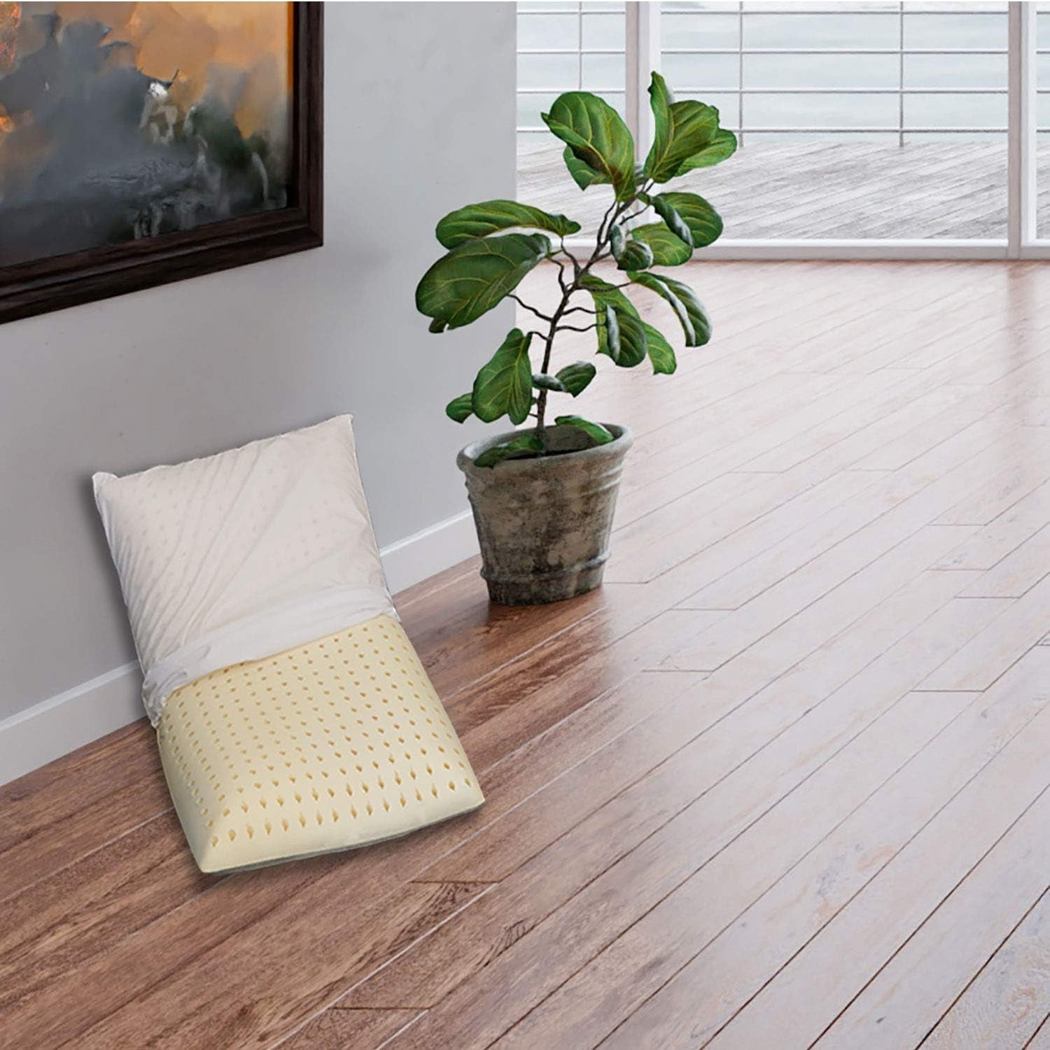 Sleepys Pernă din latex natural, 74 X 42 cm, înălțime 10 cm, săpun perforat, cu căptușeală din Jersey, 100% bumbac, pernă antialergică din latex Perne standard Naty Shop 1 bucată (1 pachet)