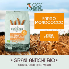 Paste Penne Rigate Organice N.91 - 500g Paste din grâu alac – Conținut scăzut de grăsimi – Sursă de fibre și proteine