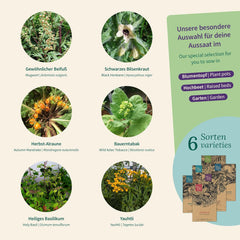 Semințe Magic Garden - Plante fermecate cu 6 ierburi magice: pelin, mătrăgună, mandragoră și multe altele - Plante de tămâie pentru a le cultiva singur și a le oferi cadou