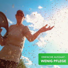 Mix de semințe de flori Magic of Nature - Paradisul albinelor - 1 kg - Ușor de utilizat - Pășune pentru albine înflorite - Sfaturi de semănat - Pentru 300 până la 500 m²