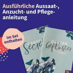 Semințe Magic Garden - Set de semințe de plante medicinale din Europa Centrală - 12 soiuri tradiționale de plante medicinale populare - Soiuri Heirloom - Accesorii de grădină - Semințe de plante - Cadou pentru iubitorii de grădină