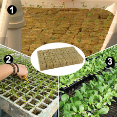 Cuburi pentru răsaduri Rockwool, 56 bucăți, 4x4x4cm. Ecologice și bine aerate pentru cultivarea fără sol a răsadurilor, butașilor și clonelor.