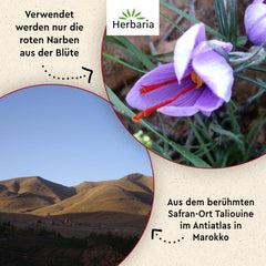 Herbaria Safran-Fäden bio 0,5g im Glas – Bio Safran-Fäden aus dem berühmten Safran-Ort Taliouine in Marokko – Safranfäden in Premium Bio-Qualität – Saffron Premium - Safran première catégorie