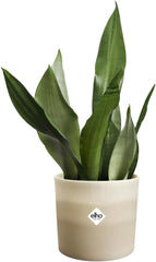 Ghiveci rotund elho Colour Gradient 18cm - Ghiveci de flori de interior - 100% plastic reciclat - Ø 18,2 x H 16,8 - Bej/Bej Gresie