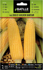 Batlle Gemüsesamen - Zuckermais Golden Bantam (48-72 Samen)