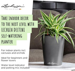 LECHUZA DELTINI alb lucios 14900