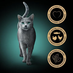 Sheba Portion Pouches Hrană umedă pentru pisici, pachet multiplu Fresh & Fine în sos cu pui și somon MSC, 6x6x50g - Mese rafinate pentru pisici în sos