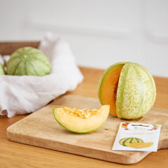 Set de semințe de fructe: Semințe premium de grădină cu 8 varietăți de plante fructifere pentru grădină și balcon – semințe de pepene verde, semințe de căpșuni, agrișe, rubarbă și multe altele – Set cadou cu semințe de fructe de la OwnGrown