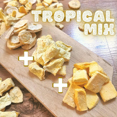 Fructe liofilizate Mix de fructe tropicale | XL 350g Ananas liofilizat Mango Banană Mix de fructe liofilizate | Fructe liofilizate Ananas Banană Mango Mix de fructe uscate | ZingyZoo Produse deshidratate Naty Shop
