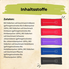 HELPA BIO pliculețe cu pulbere de fructe - arome fructate - fructe - căpșuni - zmeură - afine - prune - coacăze negre - 100% fructe liofilizate - alimente pentru copii Produse deshidratate Naty Shop