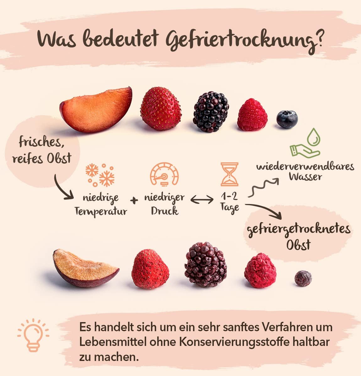 Lichi uscat BRIX | Lichi natural, uscat 95 g | Premiul Great Taste pentru fructe uscate | Fără OMG, fără gluten, vegan, vitamine conservate Produse deshidratate Naty Shop