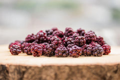 Mure sălbatice BRIX | Mure sălbatice naturale, uscate 95 g | Premiul Great Taste pentru fructe de pădure uscate | Fără OMG, fără gluten, vegan, vitamine reținute Produse deshidratate Naty Shop