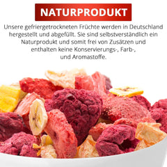 Set de degustare de fructe liofilizate 5x40g, căpșuni fructate liofilizate, zmeură, ananas, mango și amestec de căpșuni-banană, fără aditivi, fabricat în Germania Produse deshidratate Naty Shop
