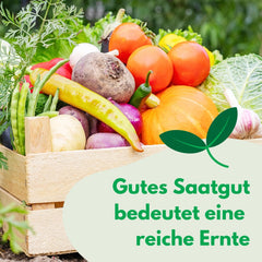 Semințe Cosmos Sensation Mix 1g, Mix Cosmos Flori de vară, Plante de grădină Plante de balcon, Semințe de flori