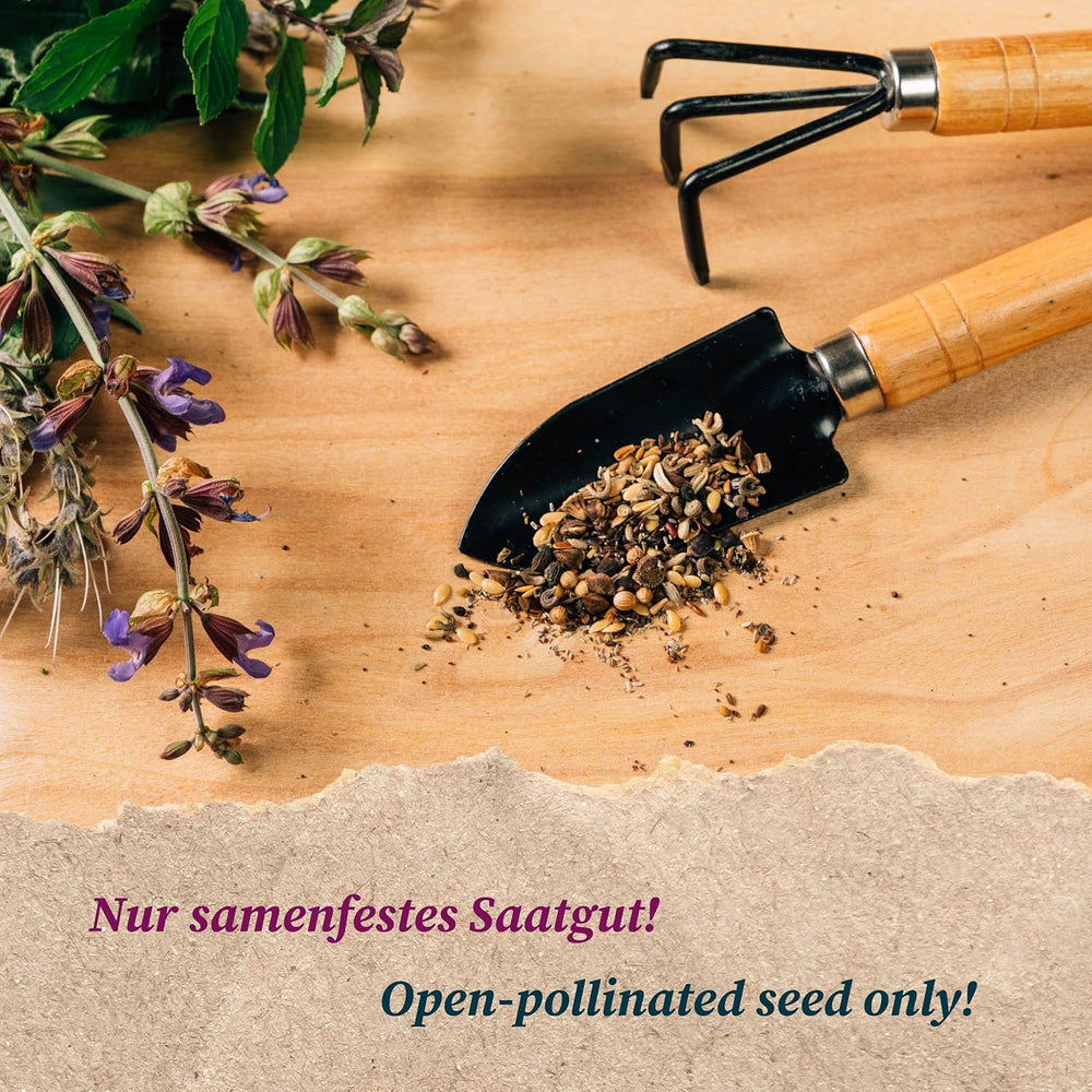 Wichtige Heilpflanzen Der Frauenheilkunde - Samenset Mit 6 Bedeutenden Heilkräutersorten