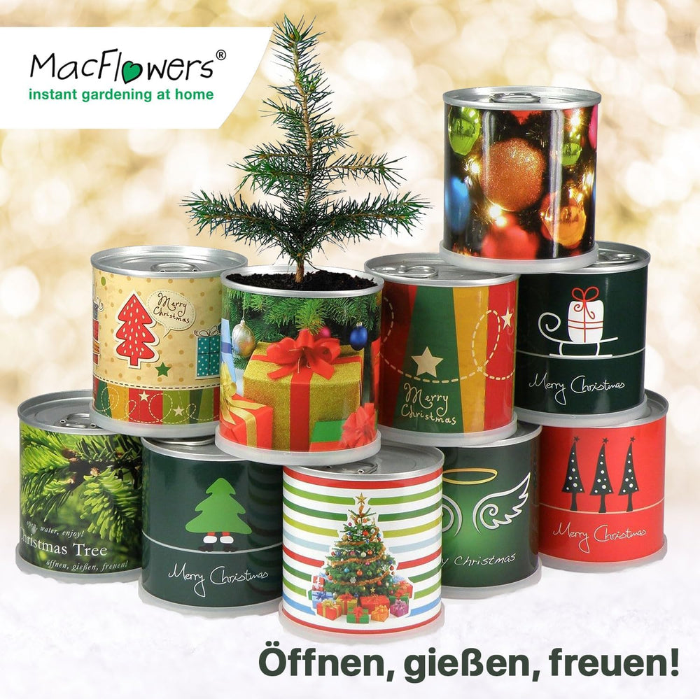 Weihnachtsbaum in Der Dose - Comic Set 4X Weihnachtsbaum Gemischt