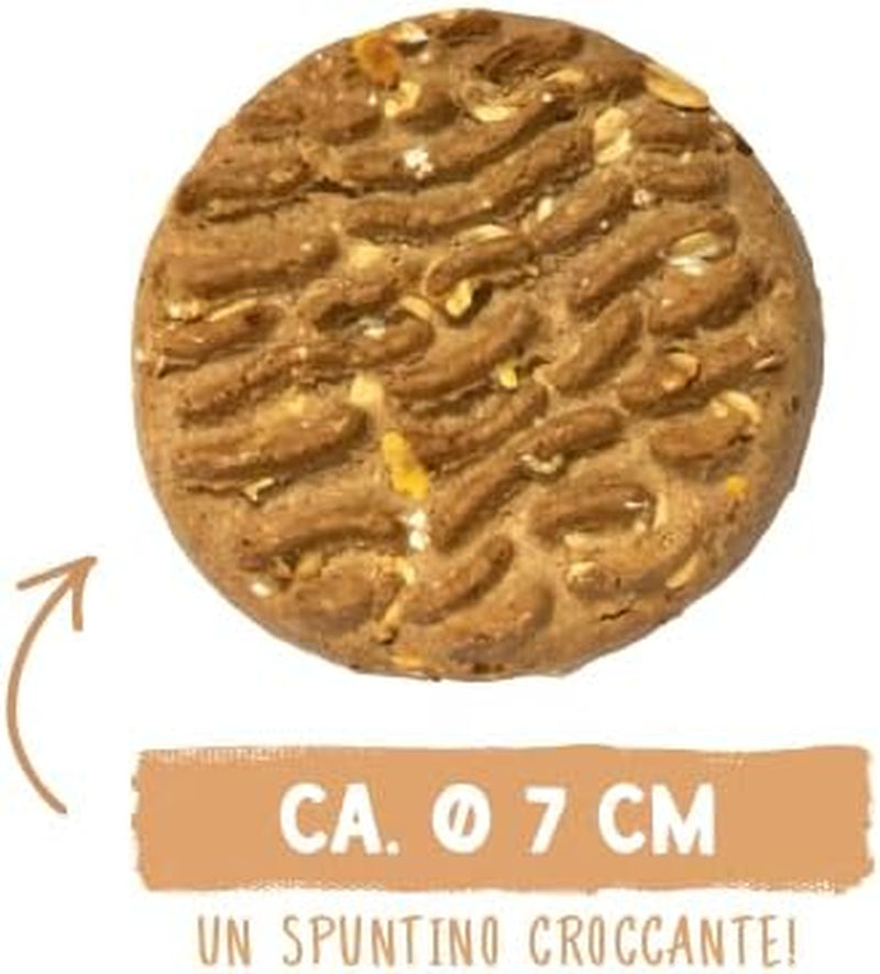 Monede de muesli Sammy's | Gustări crocante coapte pentru câini | Monede de muesli din 5 cereale pentru prietenul tău blănos de talie mare (peste 30 kg) | 1 kg