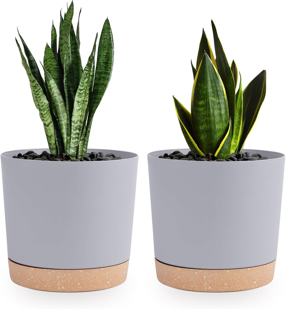 Ghiveci de flori set de 2 12,7 cm, ghivece pentru plante de interior cu găuri de drenaj și bază detașabilă, farfurioare decorative moderne pentru jardiniere de grădină de exterior (alb 12,7 cm)