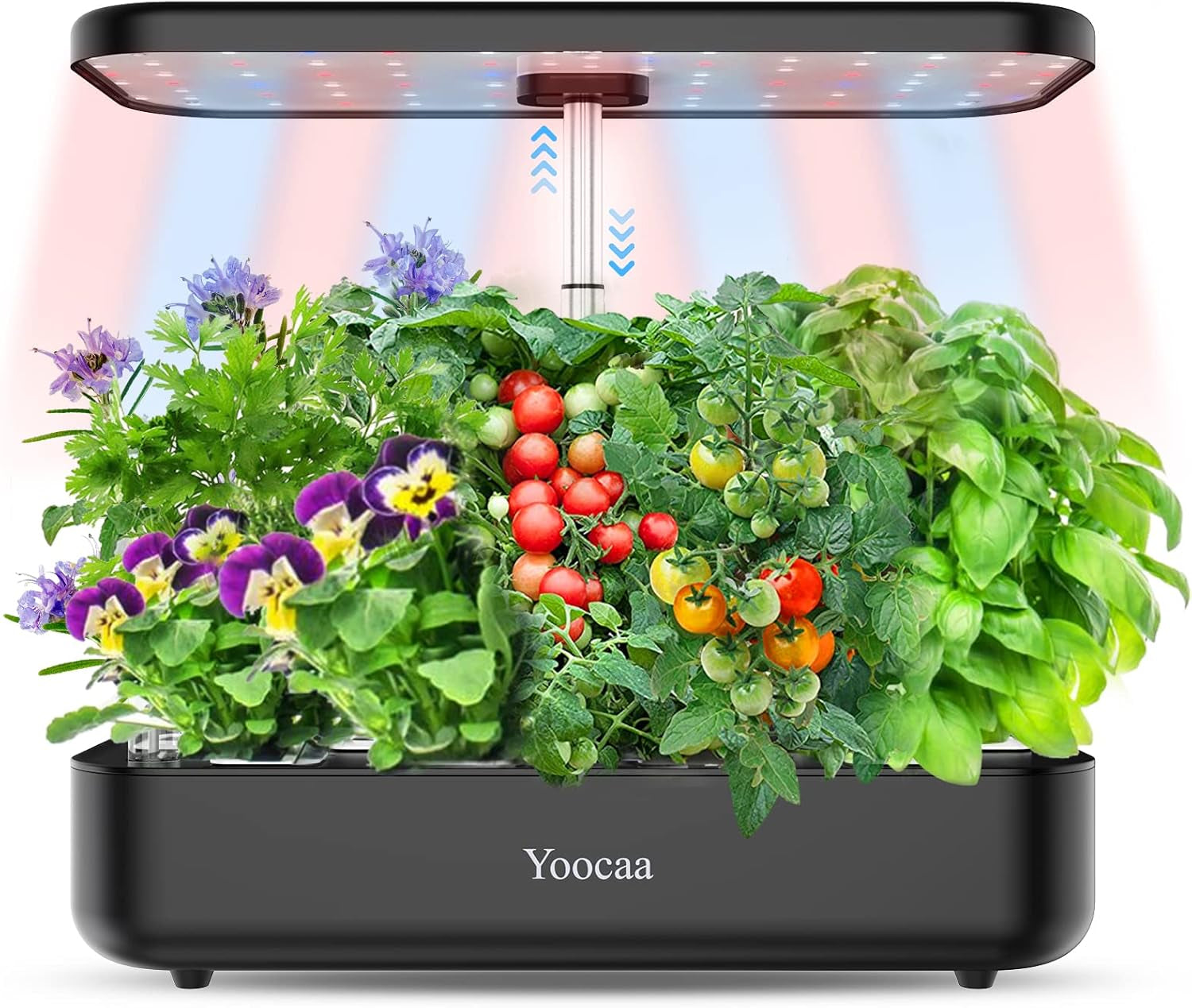 Sistem de creștere hidroponică cu 12 ustensile, Set de grădină de plante aromatice de interior cu lumină LED, Grădină inteligentă pentru casă, Bucătărie, Kit de germinare cu temporizator automat (Gri)
