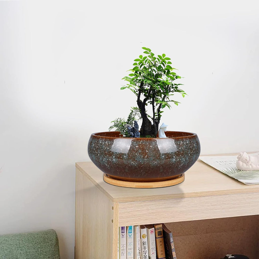 Ghiveci ceramic pentru bonsai, glazurat, puțin adânc, pentru plante suculente, cu orificiu de drenaj și farfurie din bambus pentru plante de apartament, 20,3 cm, maro