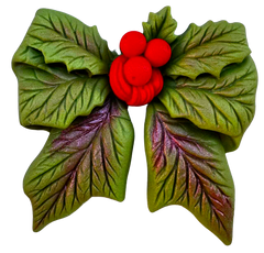 Decoratiune comestibila, Floarea Craciunului