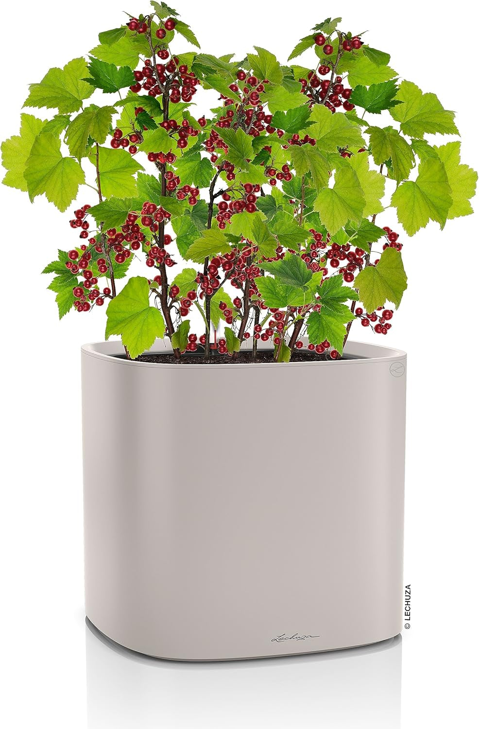 Jardinieră LECHUZA PILA Color maro nisipos 15907, 35x35x33 cm