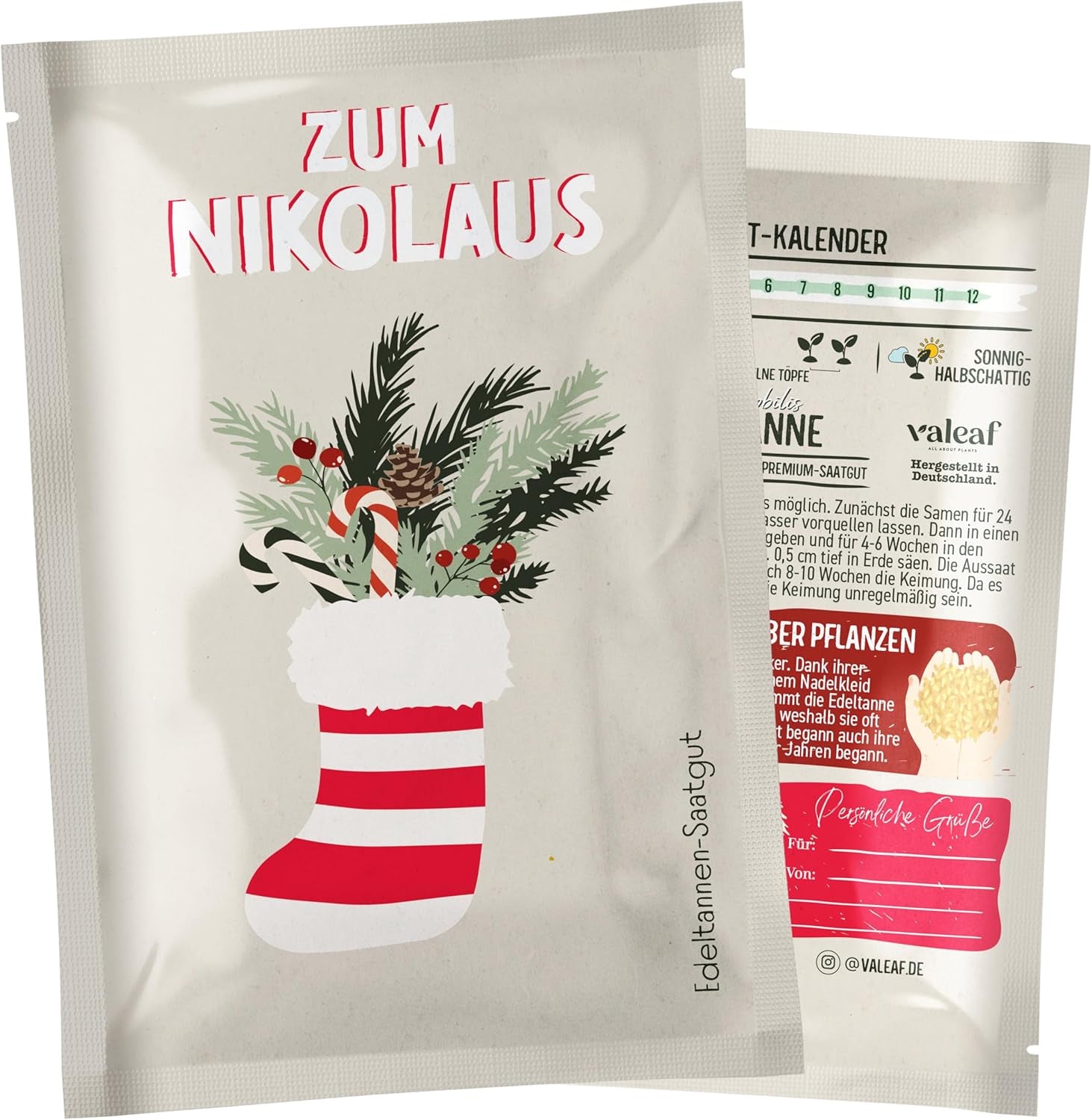 Brad de Crăciun 2030 - Semințe de brad Nordmann pentru plantarea unui brad de Crăciun, ideal ca și cadou de Crăciun Secret Santa