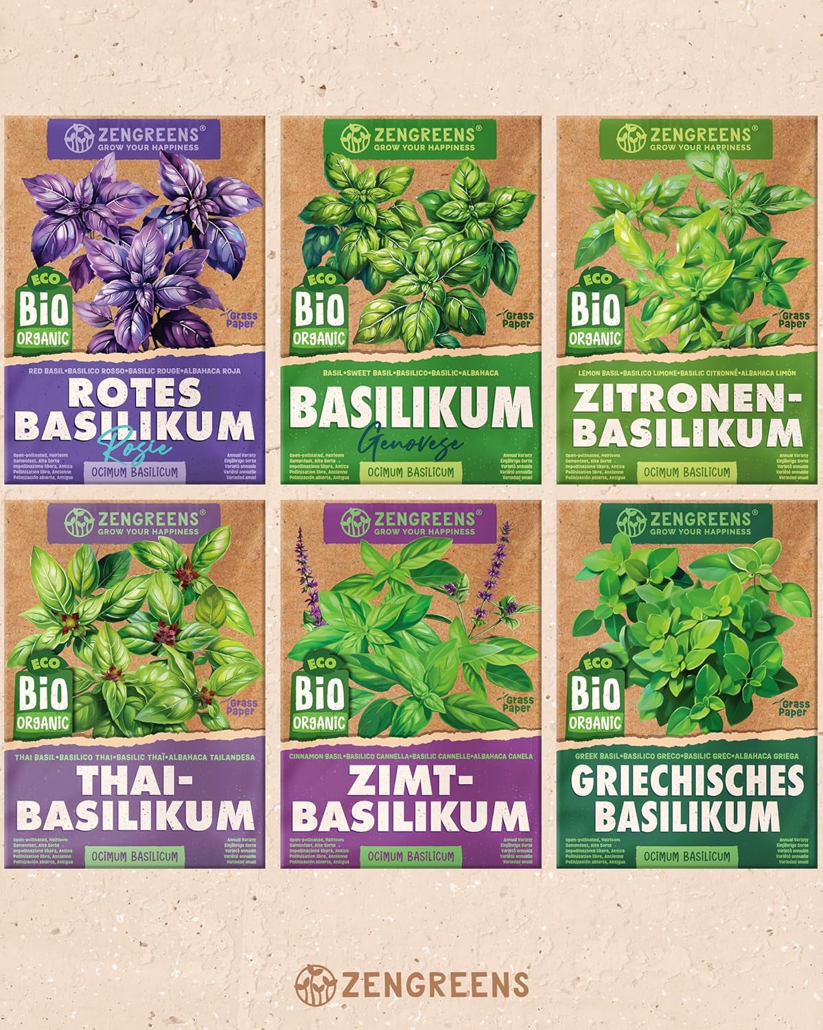 Semințe de busuioc organice într-un set de 6 - 6 semințe de busuioc pentru cultivare ușoară în grădină, balcon sau strat înălțat - semințe de plante - răsaduri