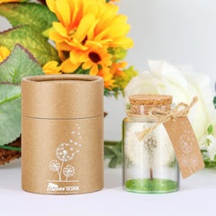 Wunscherfüller Glücksbringer, Echte Pusteblume Im Glas Mit Geschenkbox, Geburtstagsgeschenk Für Frauen, Valentinstagsgeschenk, Kleine Geschenke Für Frauen Freundin