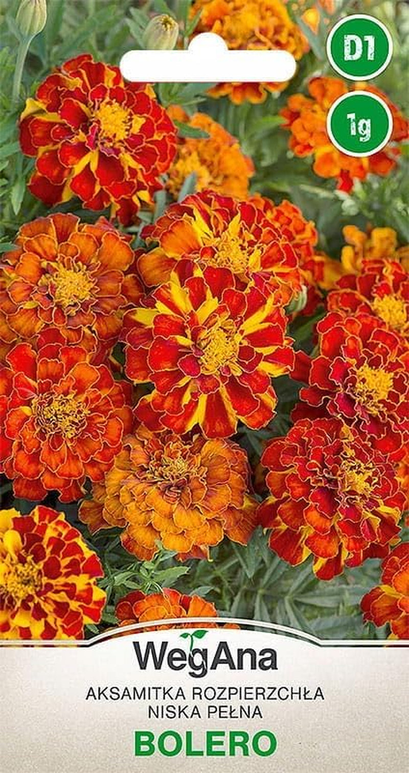 Semințe Cosmos Sensation Mix 1g, Mix Cosmos Flori de vară, Plante de grădină Plante de balcon, Semințe de flori