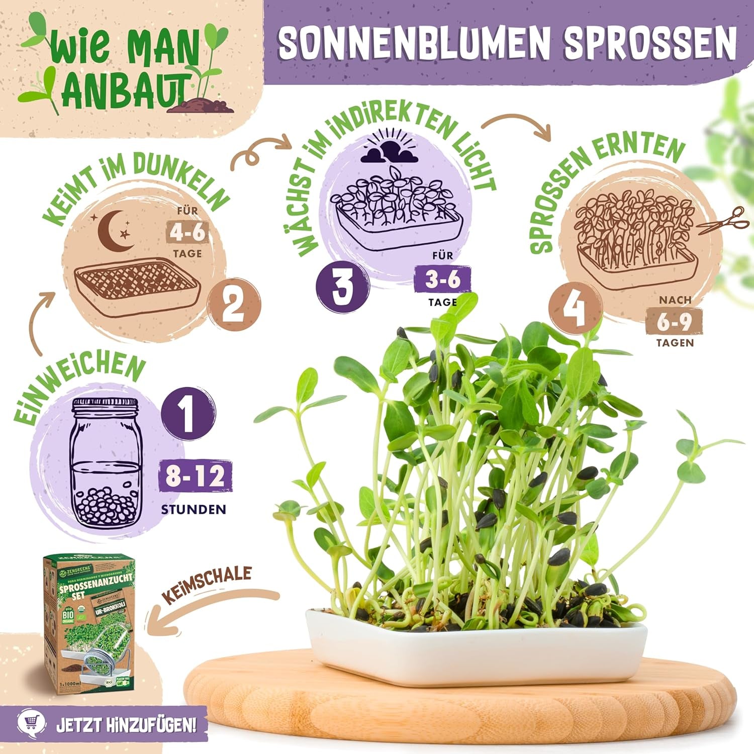 Bio Sonnenblumen Samen - Wähle Zwischen 10G, 200G Und 500G - Sonnenblume Mit Keimrate Von Über 97% - Keimsprossen - Sonnenblumensamen Zum Sprossen Ziehen - Wiederverschließbare Verpackung