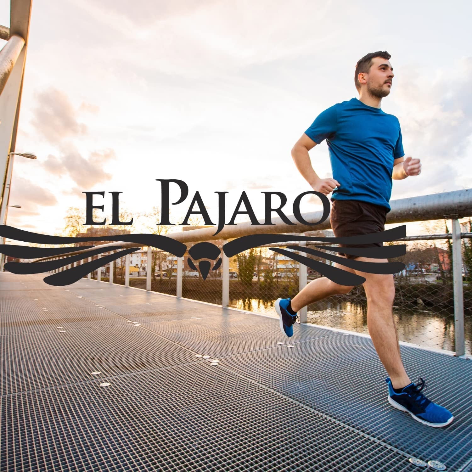 Guarana 1000 g | Ceai Mate din Paraguay | Puternic, cu catuava, pudră de guarana, lămâie verde | Stimulare extra puternică, revigorant, mare