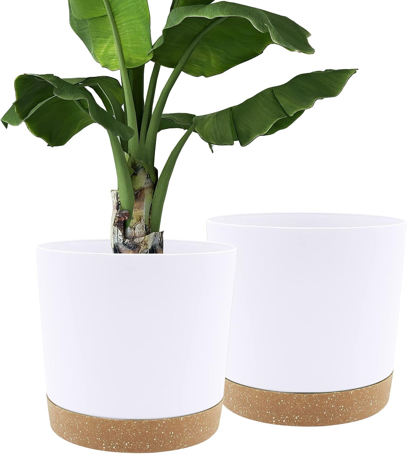 Ghiveci de flori set de 2 12,7 cm, ghivece pentru plante de interior cu găuri de drenaj și bază detașabilă, farfurioare decorative moderne pentru jardiniere de grădină de exterior (alb 12,7 cm)