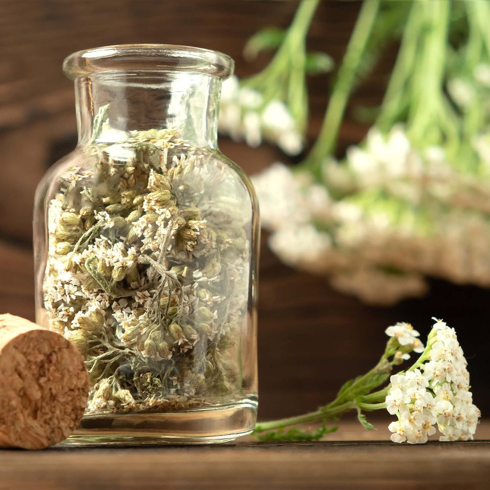 Set de semințe de ceai: 8 varietăți de semințe pentru balcon și grădină – mentă, mușețel, anason, urzică, nalbă – semințe de plante – ceai – cutie de ceai – plante OwnGrown