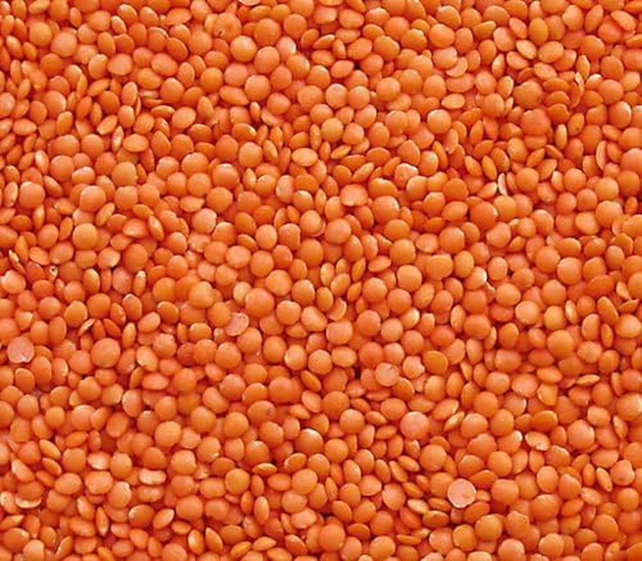Linte roșie Seba Garden 1 kg – Linte integrală premium din Canada – Massor Dal, fără OMG, bogată în proteine, bogată în fibre – complet naturală, vegană, fără gluten, ideală pentru supe și curry
