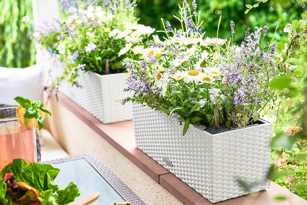 LECHUZA BALCONERA Cabană 50 alb 15600