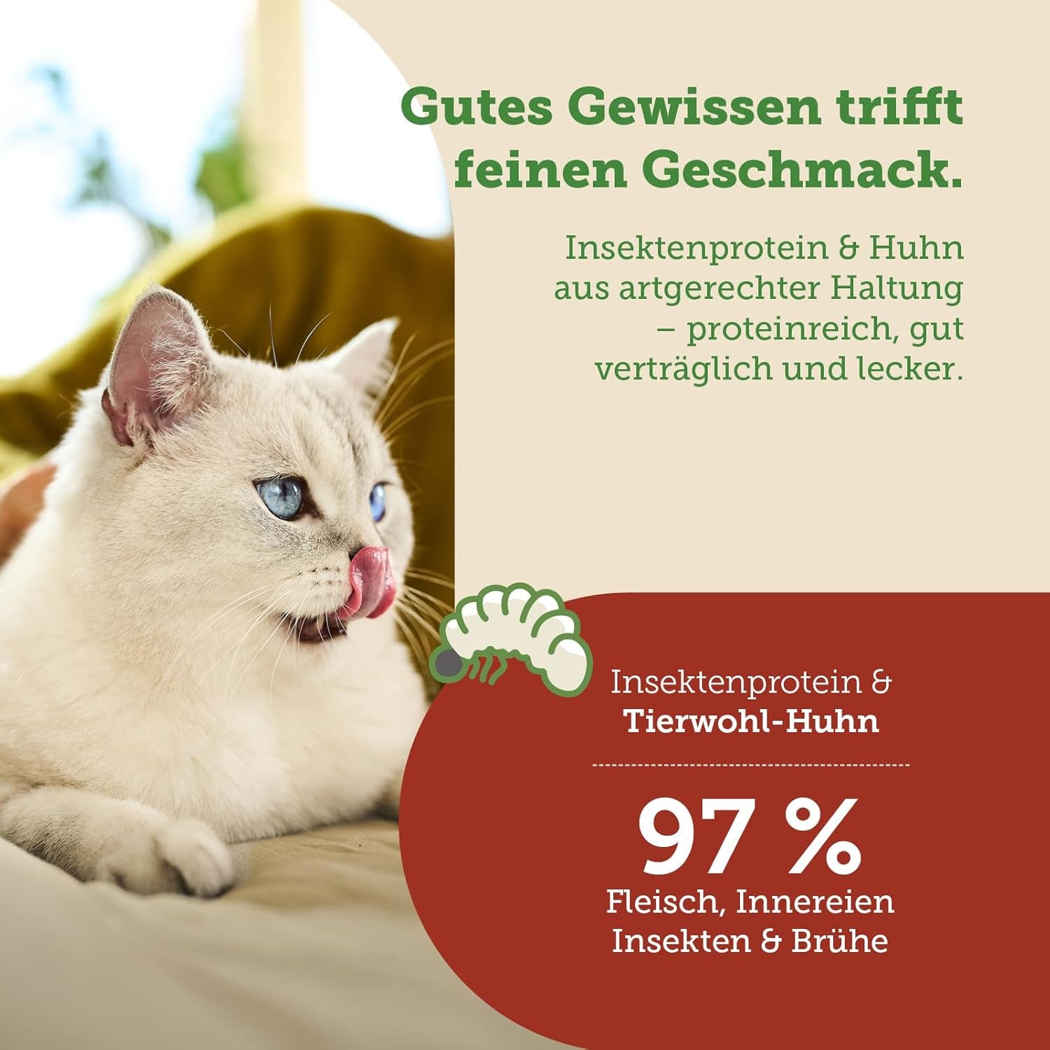 MERA Cats Nature Insekt Premium Katzenfutter Nass 12x85g | ohne Zucker und Getreide| Nachhaltig & mit viel Insektenprotein | Adult Katzennassfutter