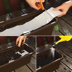 Amestec colorat de flori de balcon - 2 covorașe premium pentru semințe de flori de balcon, ușor de cultivat, flori de vară și semințe de flori sălbatice de la OwnGrown, semințe anuale prietenoase cu insectele