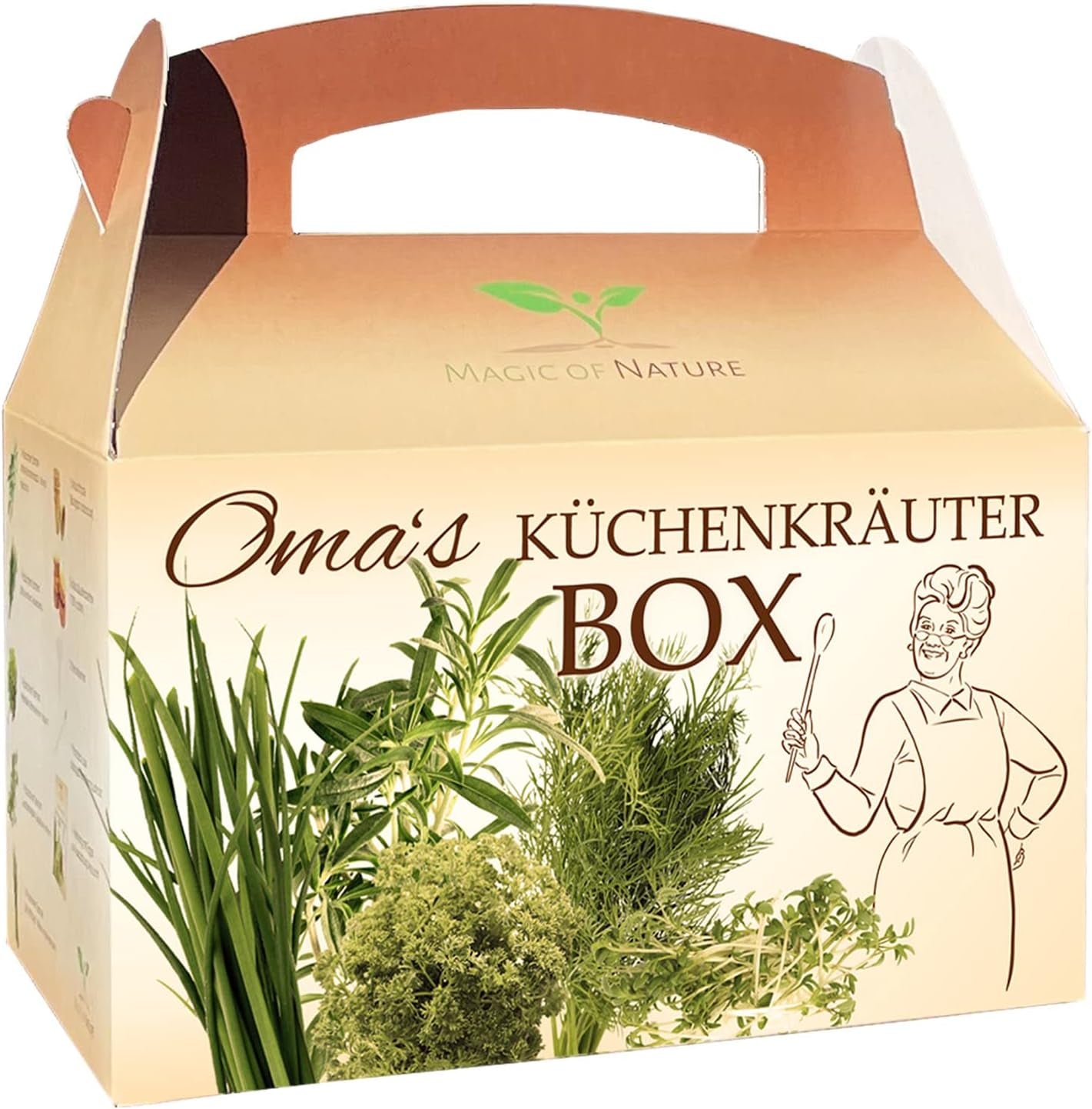 Magic of Nature Oma`s Küchenkräuter Box - Anzuchtset - 5 Sorten frische Kräuter Samen - Zum Selberzüchten oder zum Verschenken