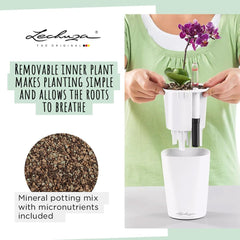 LECHUZA DELTINI alb lucios 14900