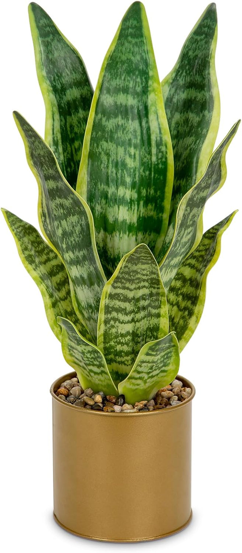 Sansevieria Kunstpflanze Im Keramiktopf, Kleine Zimmerpflanze, Künstliche Schlangenpflanze, Kunstpflanzen Wie Echt Perfekt Für Badezimmer Schlafzimmer Home Office Dekoration, Höhe 33Cm