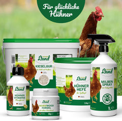 HÜHNER Land Eier-Fit für Legehennen 500g - Futterergänzung für Hühner, Legeleistung Zusatz für Hühner, Zusatz Eier, Eibildung, kräftiger Dotter, stabile Schale, gesunde Eier, Vitamine