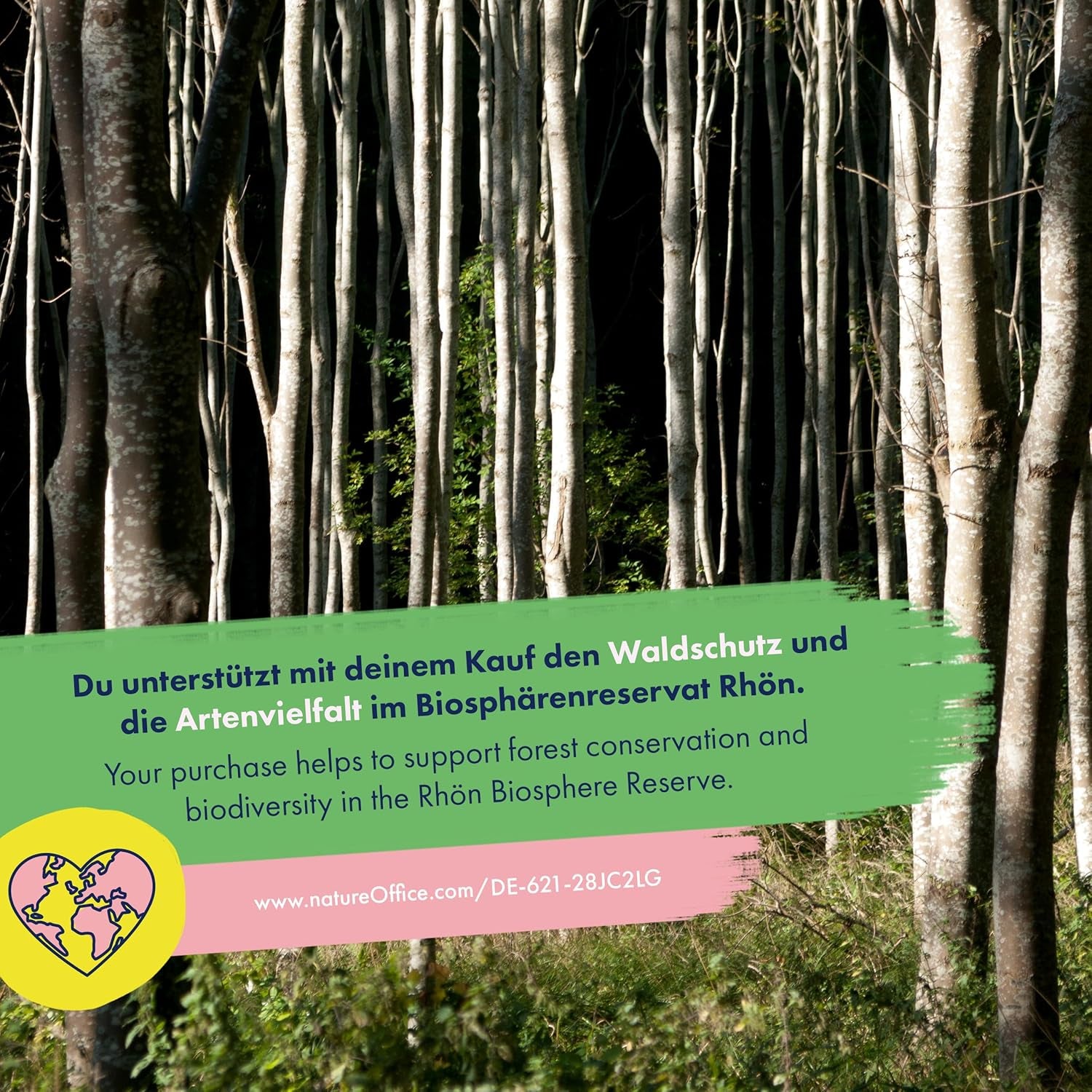 Curcubeu înflorit - 6 amestecuri de flori cu polenizare liberă - spectaculoase și colorate - set de semințe pentru începători, ca un mic cadou sau pentru uz personal