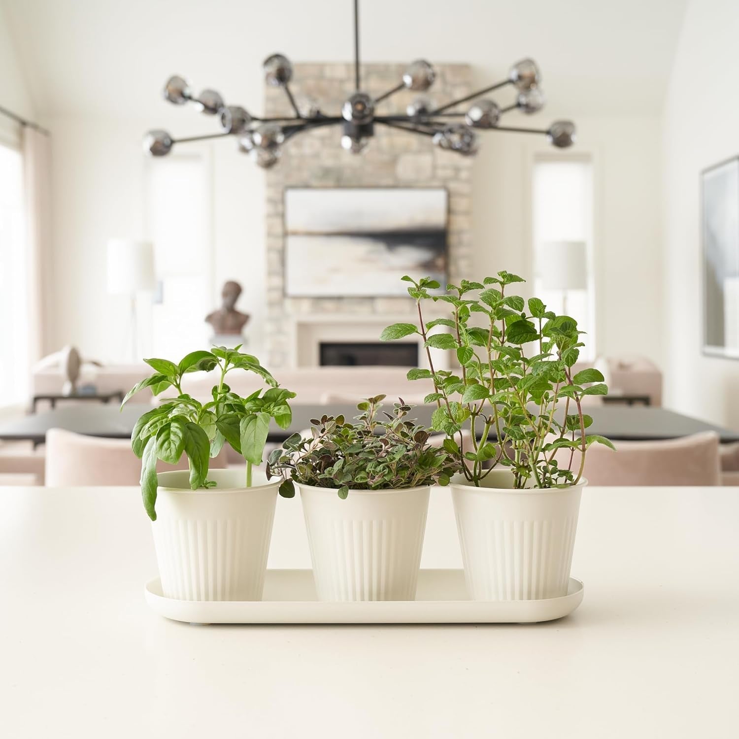 Set de 3 ghivece frumoase pentru grădină de plante aromatice, perfecte pentru orice pervaz sau blat de bucătărie, un set modern de ghivece decorative pentru grădină, inclusiv tavă și...