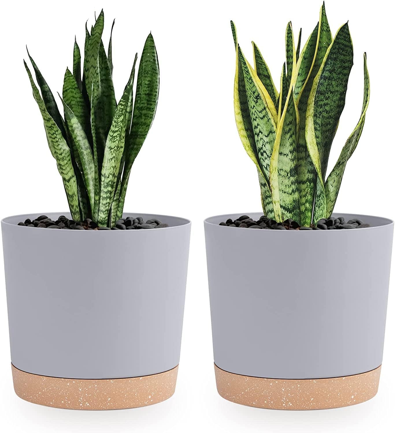 Ghiveci de flori set de 2 12,7 cm, ghivece pentru plante de interior cu găuri de drenaj și bază detașabilă, farfurioare decorative moderne pentru jardiniere de grădină de exterior (alb 12,7 cm)