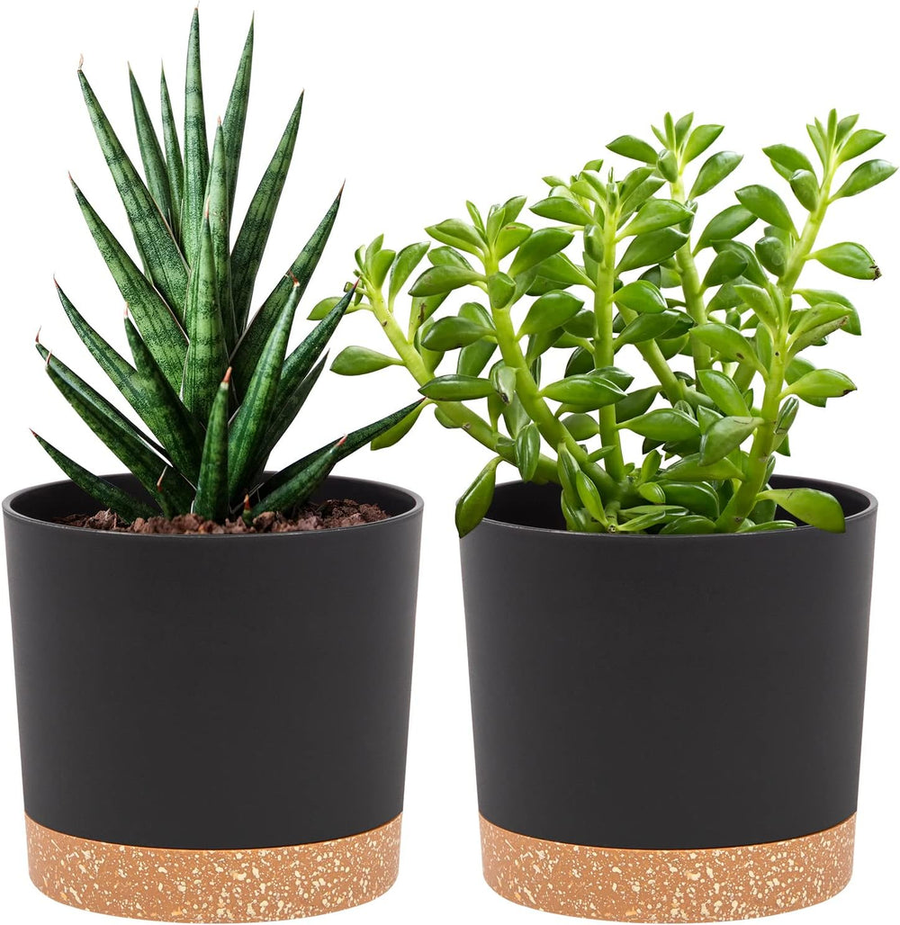 Ghiveci de flori set de 2 12,7 cm, ghivece pentru plante de interior cu găuri de drenaj și bază detașabilă, farfurioare decorative moderne pentru jardiniere de grădină de exterior (alb 12,7 cm)